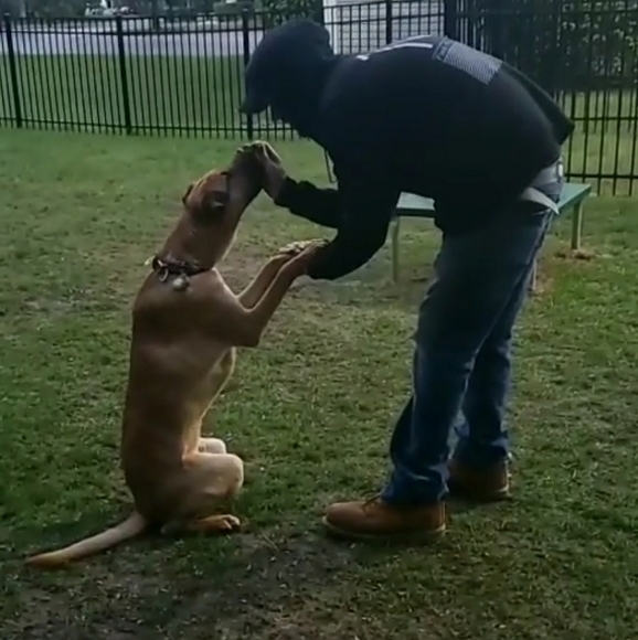 Welcome to my closet! - Picture 10 of 16